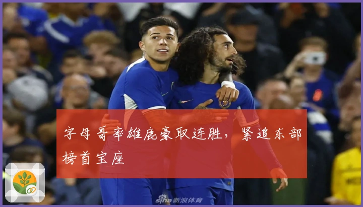 字母哥率雄鹿豪取连胜，紧追东部榜首宝座